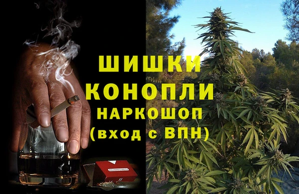 apvp Михайлов